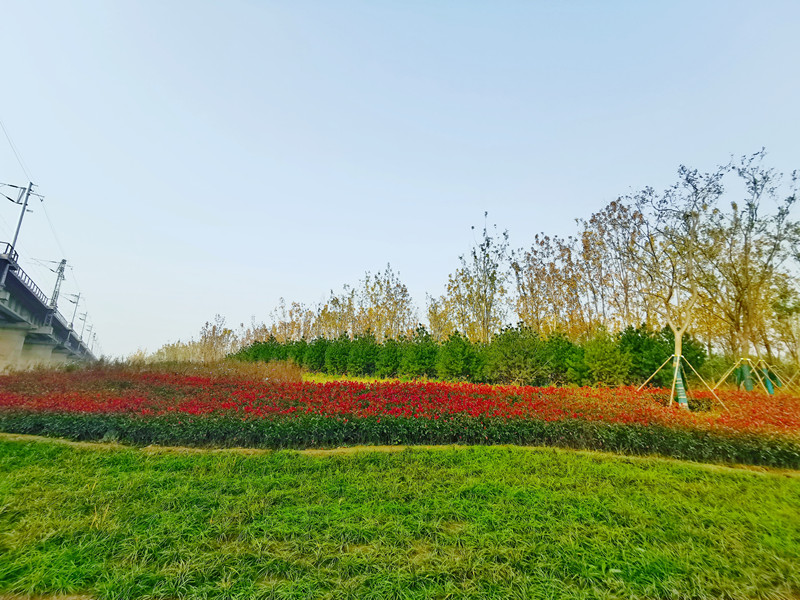 ���g22��(�й���)���¹ٷ���վ