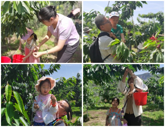 ���g22��(�й���)���¹ٷ���վ