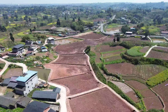 ���g22��(�й���)���¹ٷ���վ