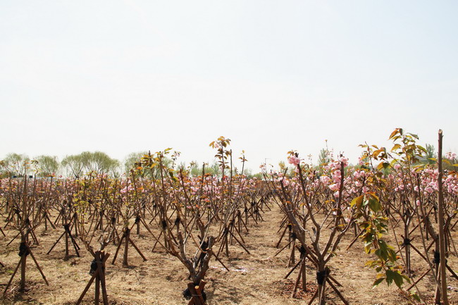 ���g22��(�й���)���¹ٷ���վ