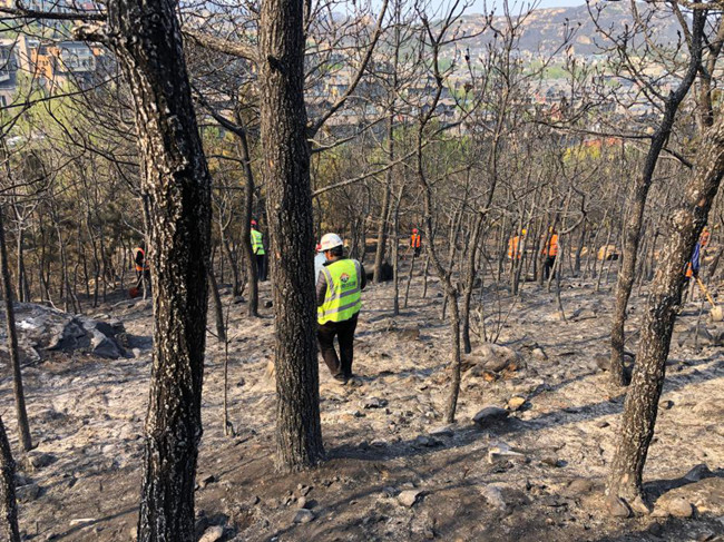 ���g22��(�й���)���¹ٷ���վ