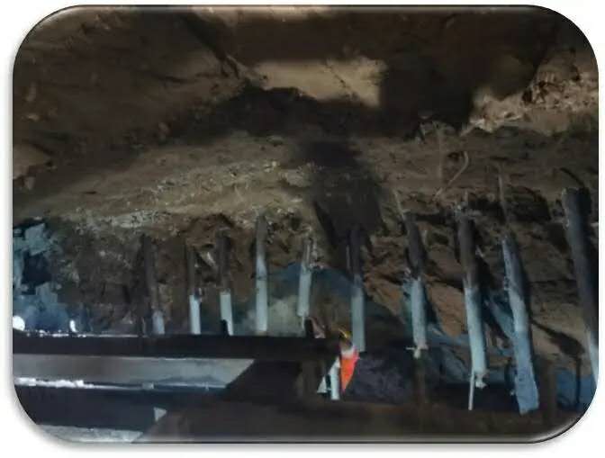 ���g22��(�й���)���¹ٷ���վ